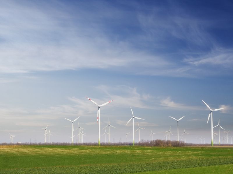wind energy SDGs in Japan