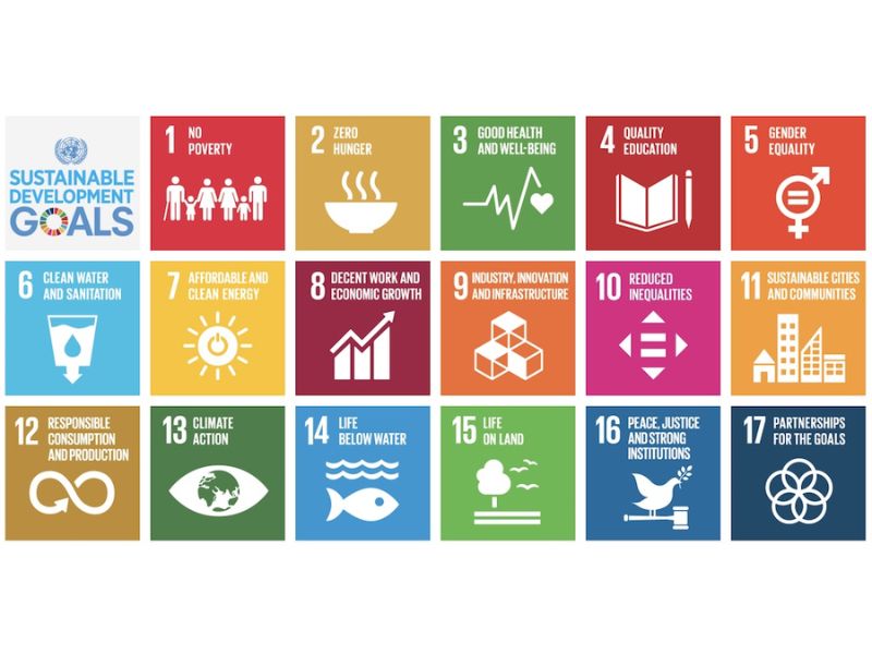 SDGs in Japan