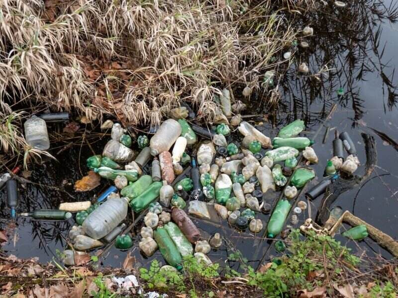polluted waters