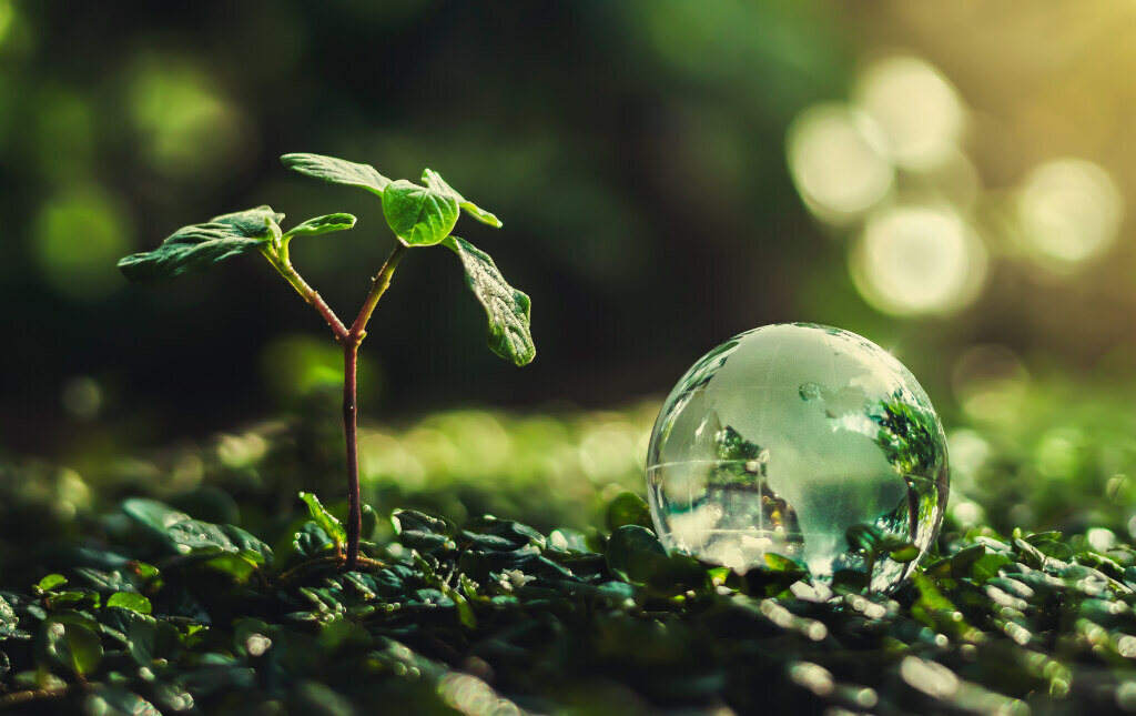 Sustainable Business Practices in Japan